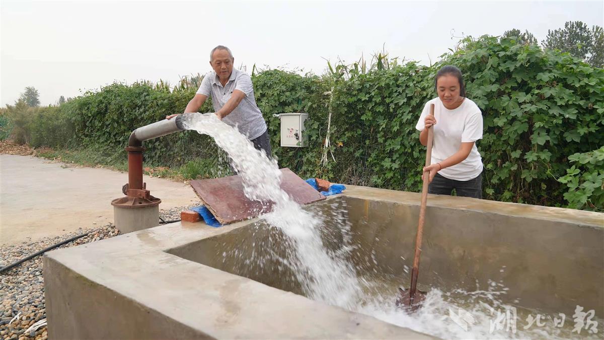 小河区审计局招聘信息全解析，岗位、要求与相关内容一网打尽