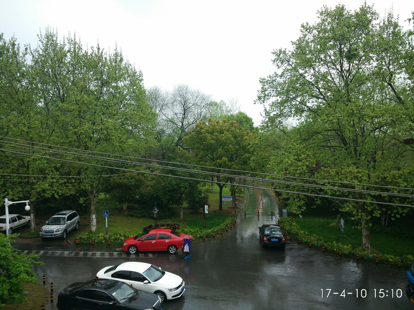 蜀山街道天气预报更新通知