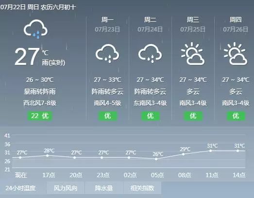 2024年12月19日 第31页