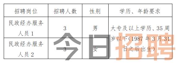 鹤城区民政局最新招聘信息概览