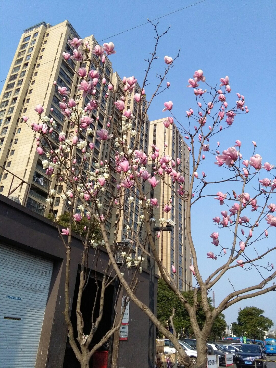 乔司街道天气预报更新通知