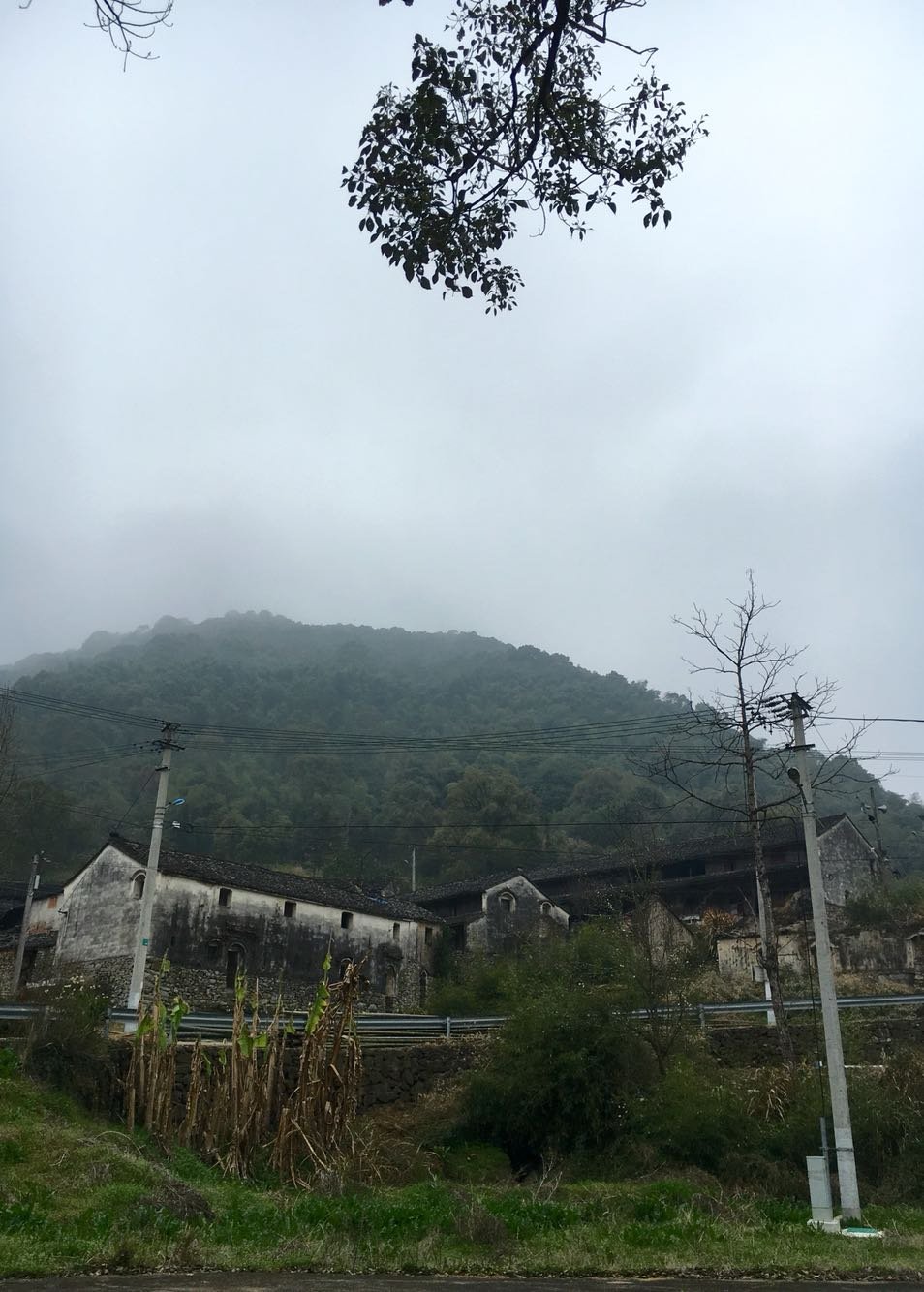 丁山村民委员会天气预报更新通知