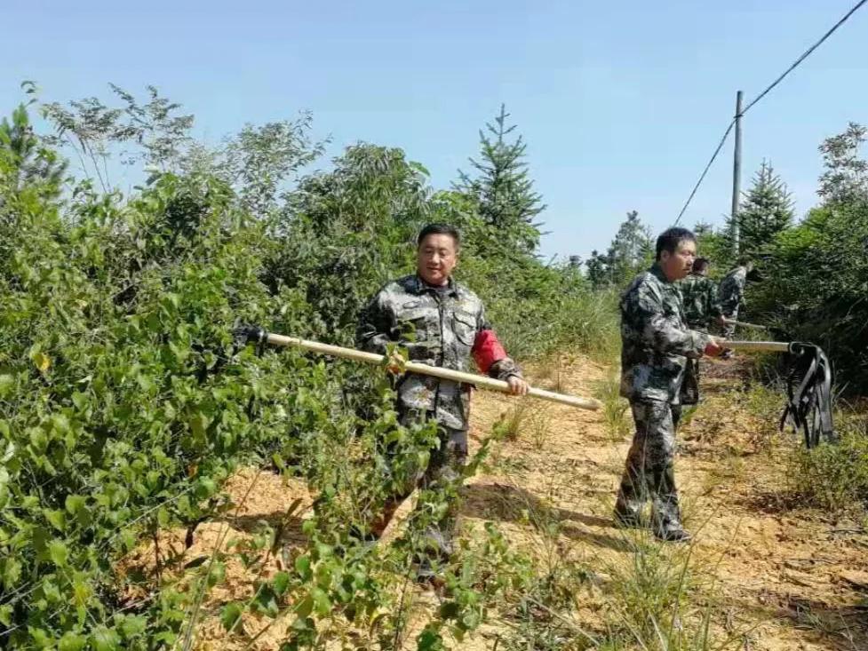 白圩镇天气预报更新通知